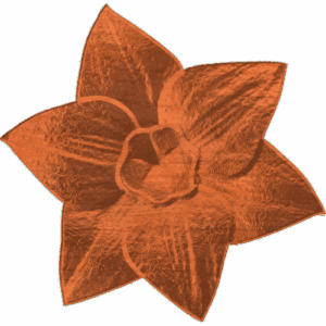 Starflower